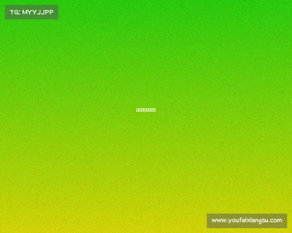 体育赛事组织管理